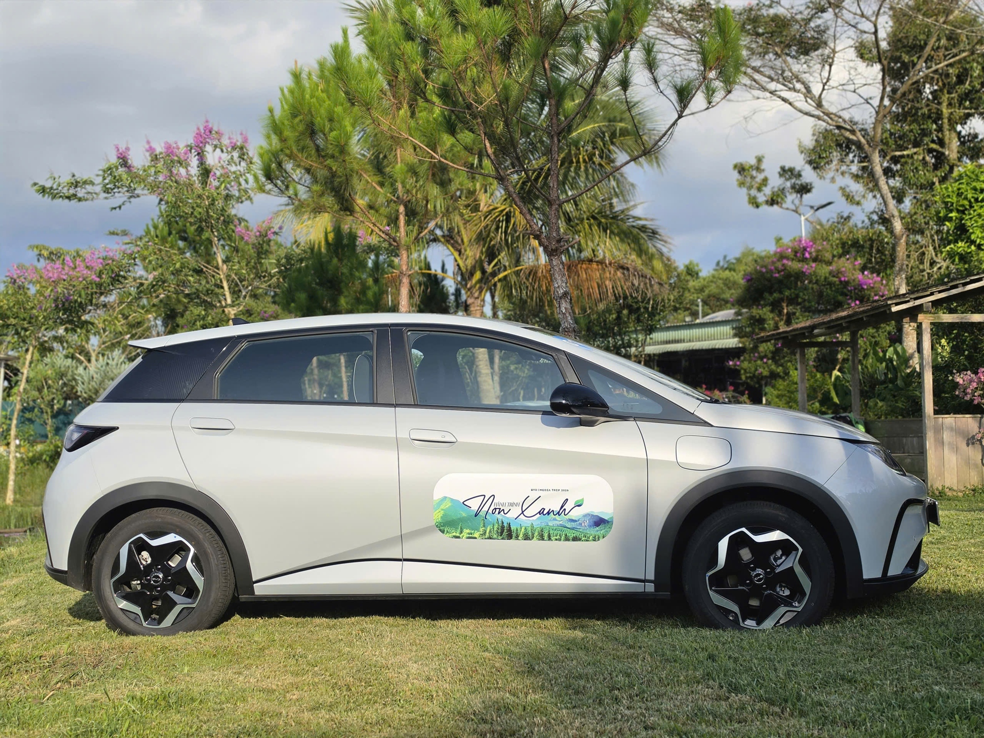 byd dolphin 1
