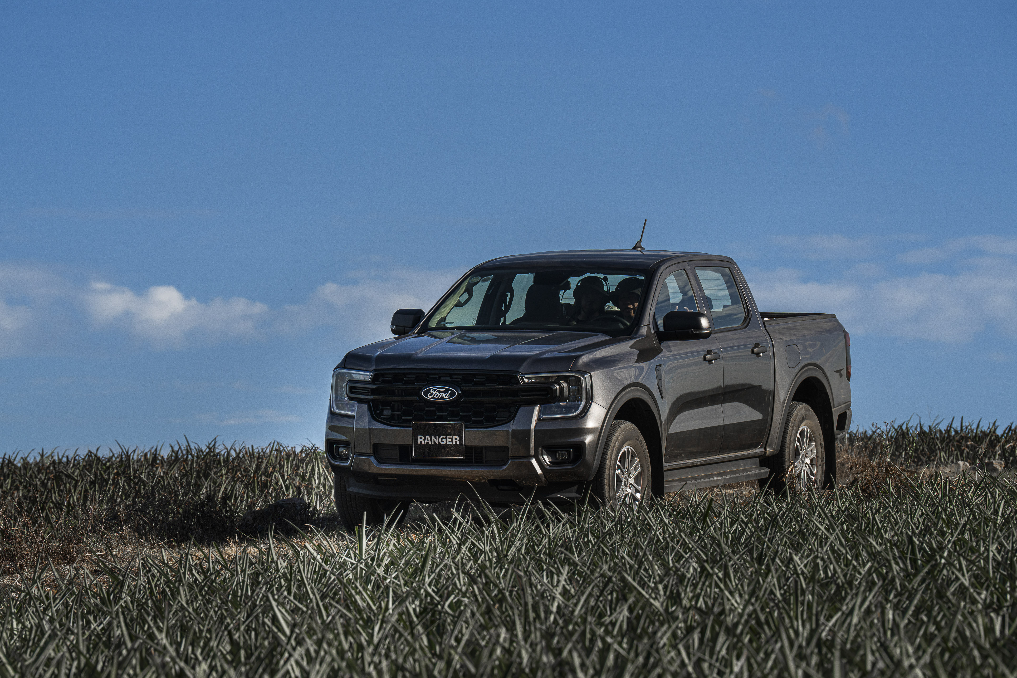 xls 17