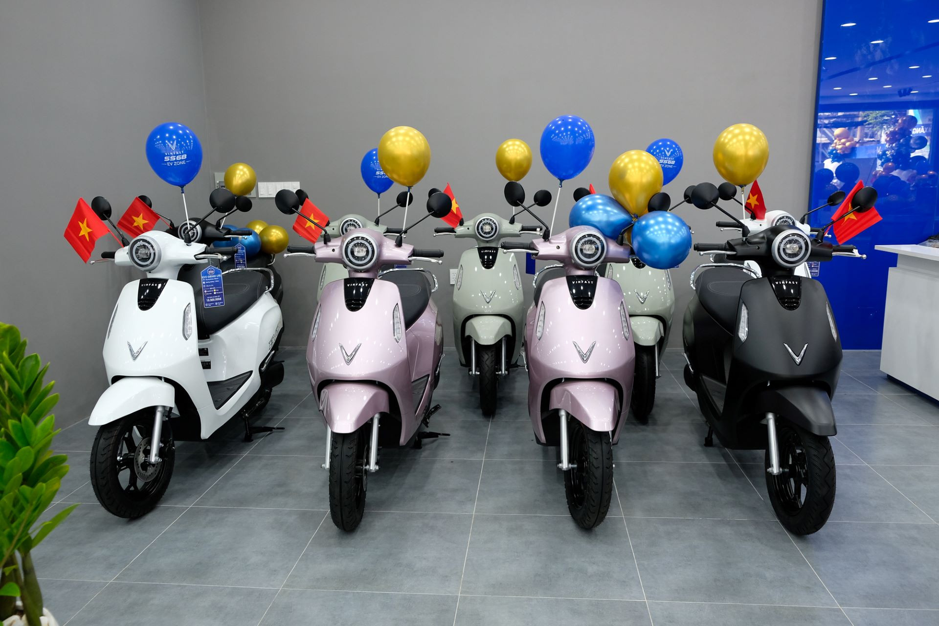 vf xmd 5 1783211551400 1783211551962607109895