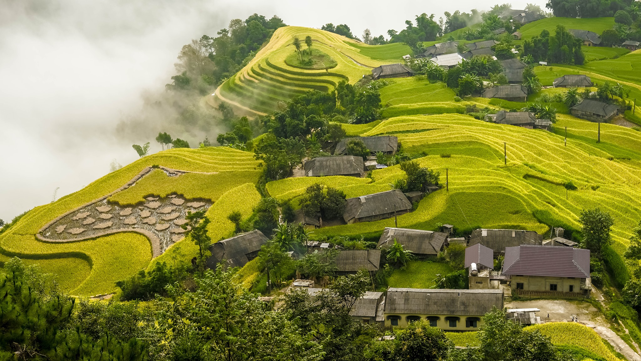 ban phung 1