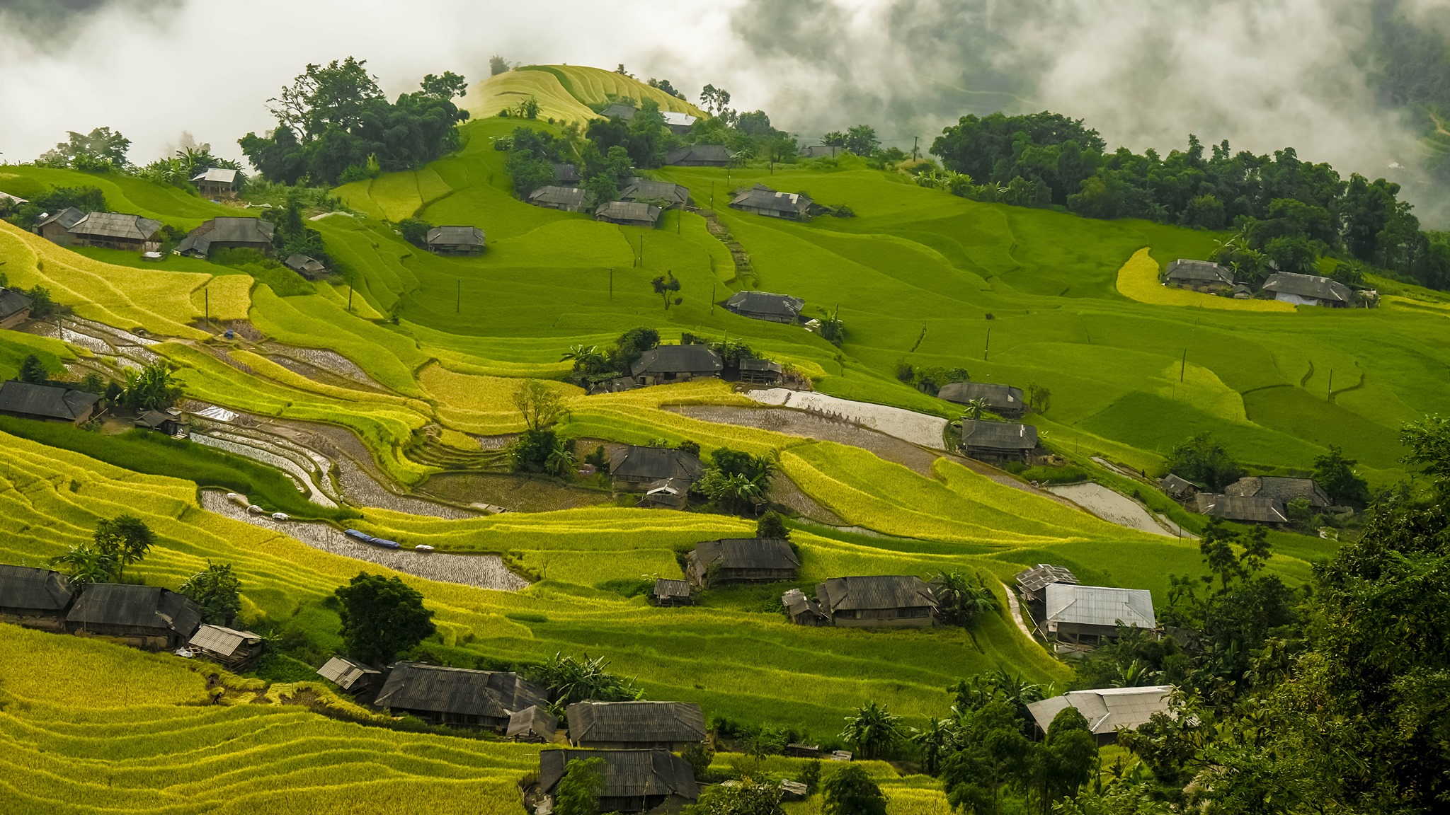 ban phung 2