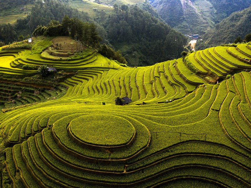 mu cang chai