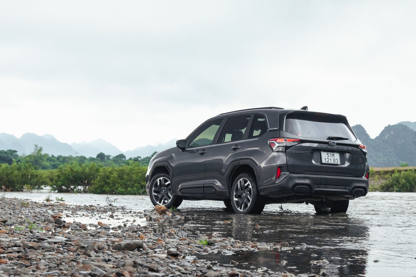 forester 3