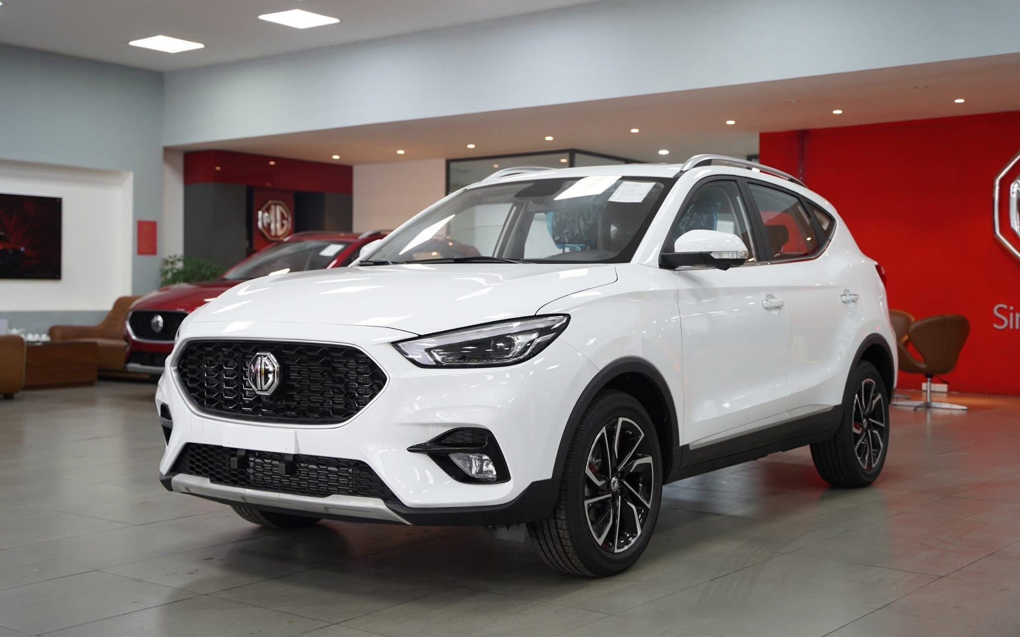 mg zs av