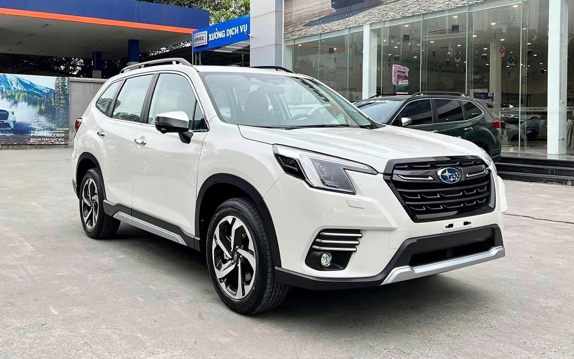 0 forester 10 1759543938871 1759543939128652379836