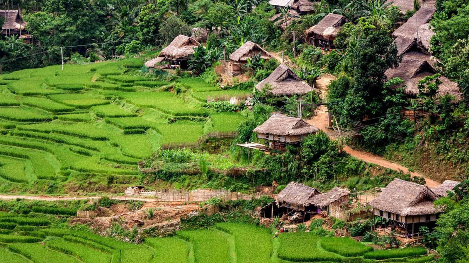 kho muong