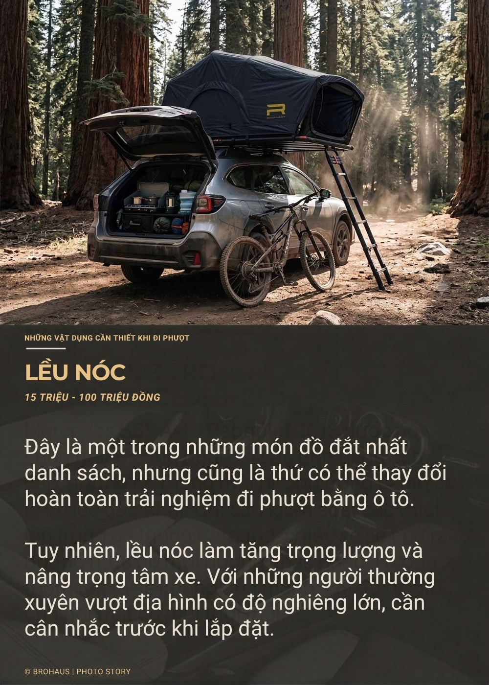 11 leu noc