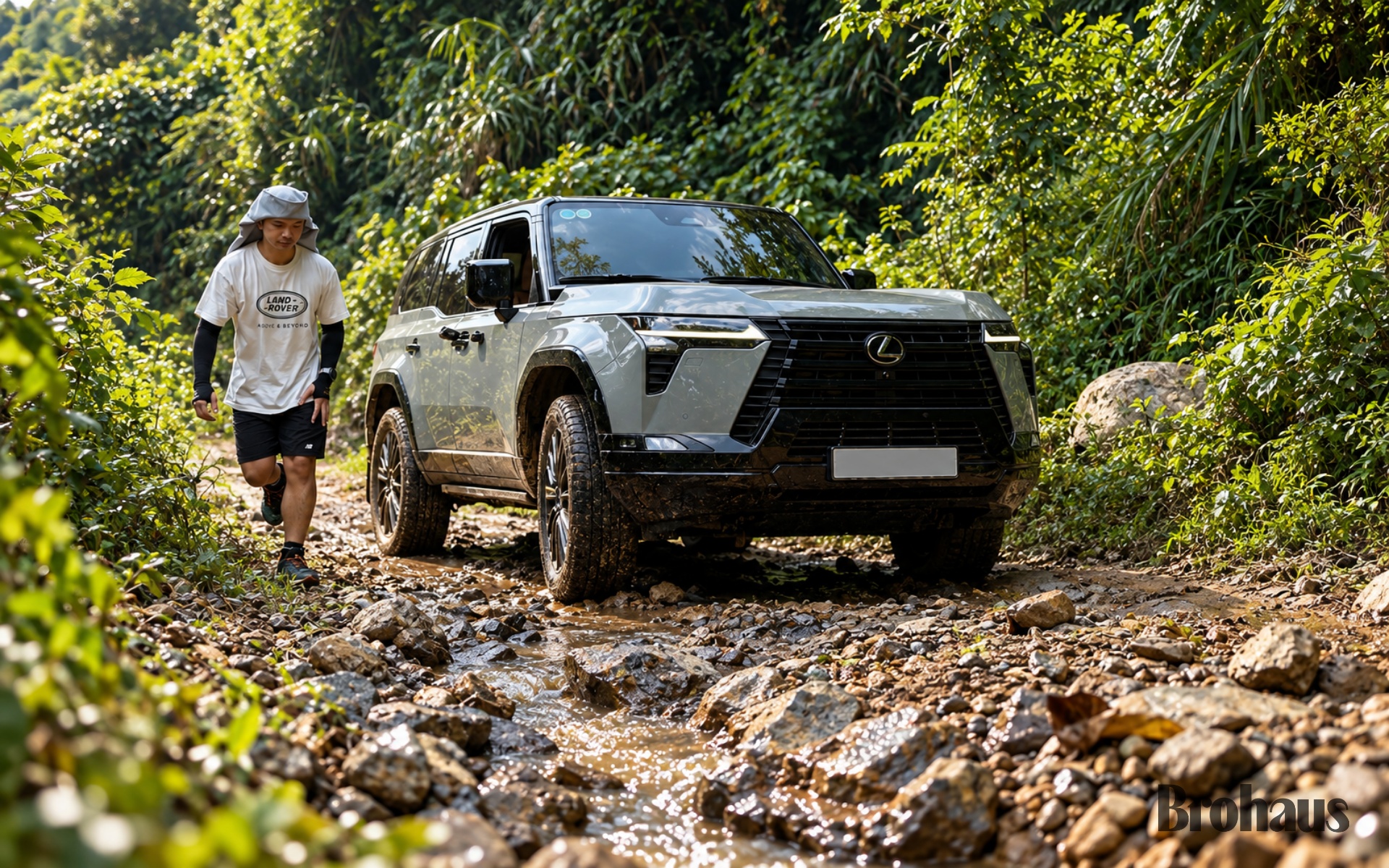 lexus leo dinh vien nam lexus dinh vien nam 12