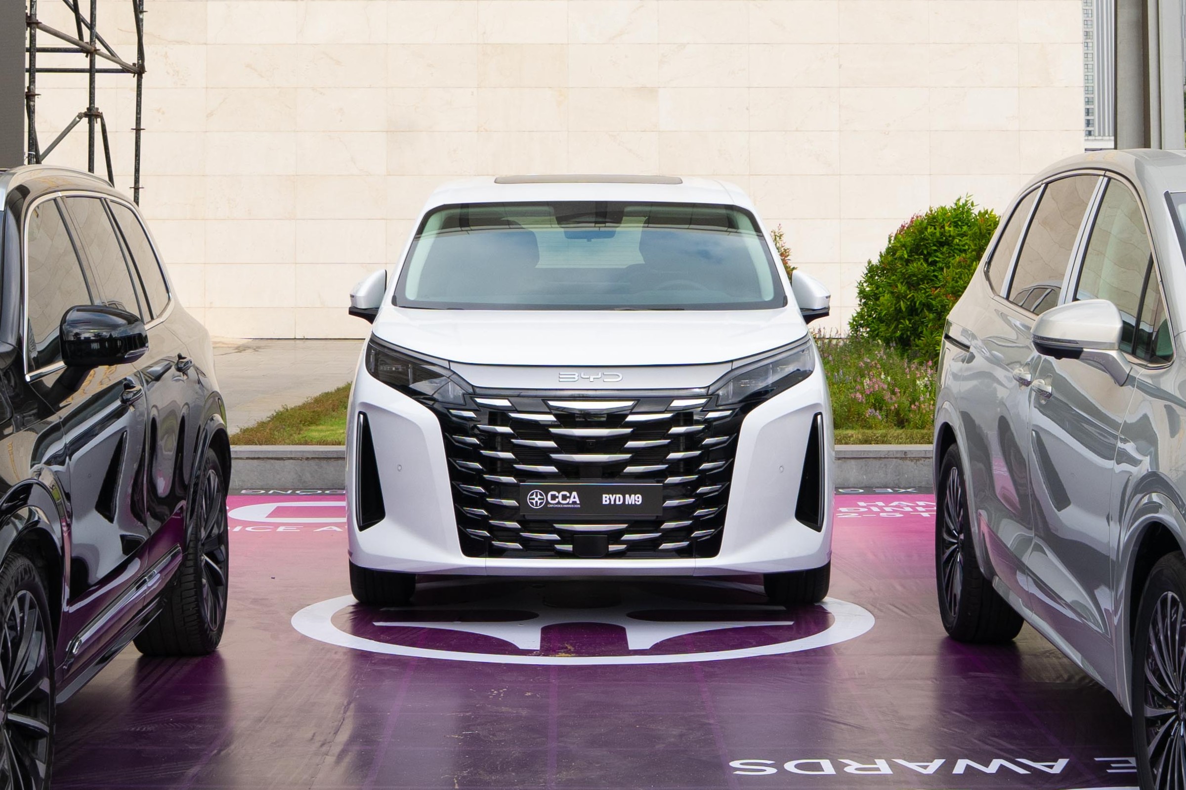 byd m91