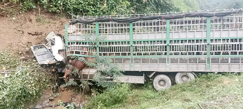 Quảng Bình: Xe tải lao xuống đồi, tài xế tử vong tại chỗ