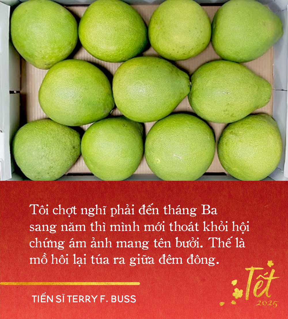 tet terry25q1