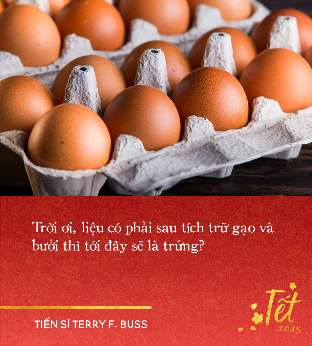 tet terry25q3