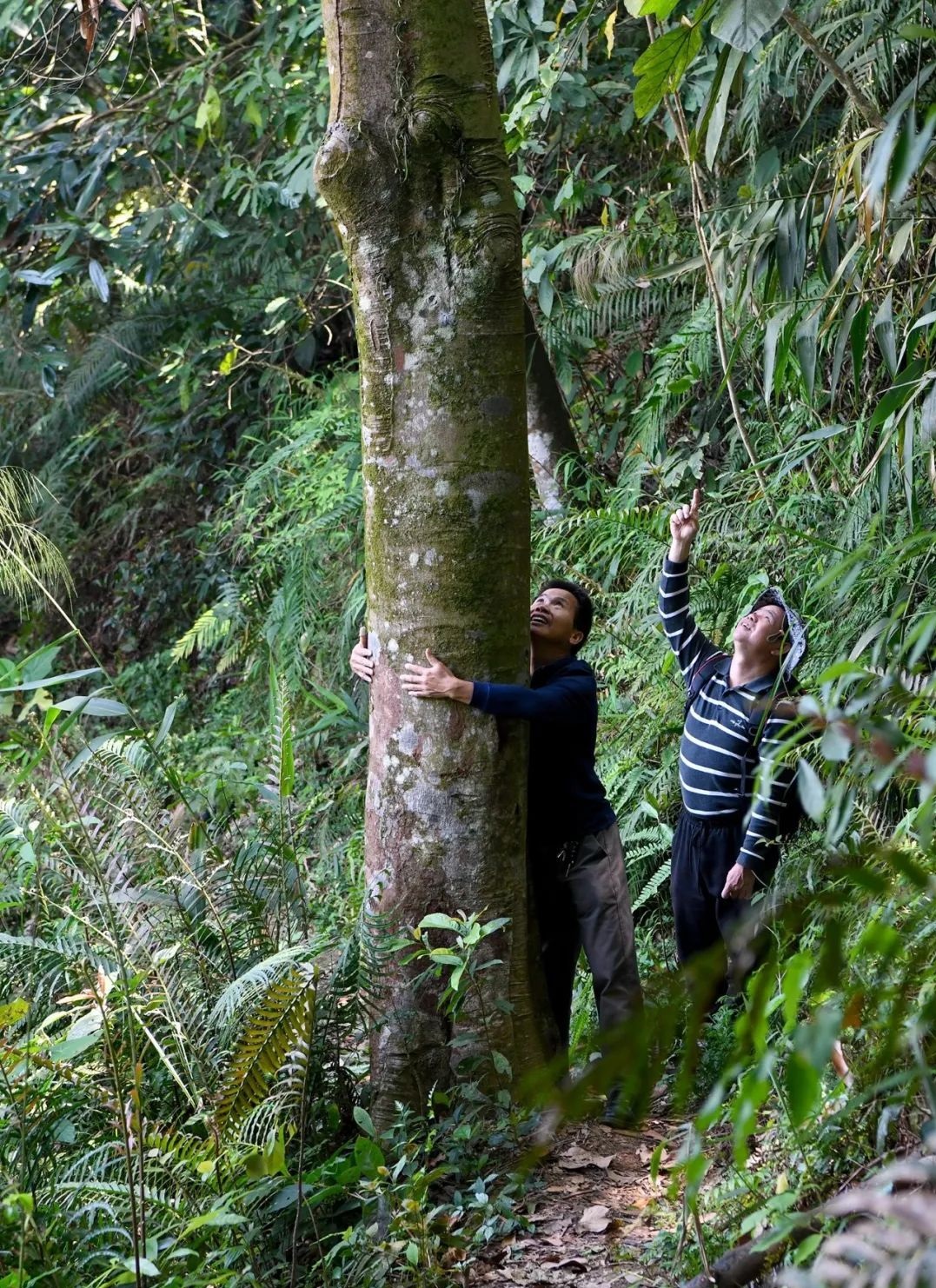 o1g0joc8g61462es91jpc1qmnqfm