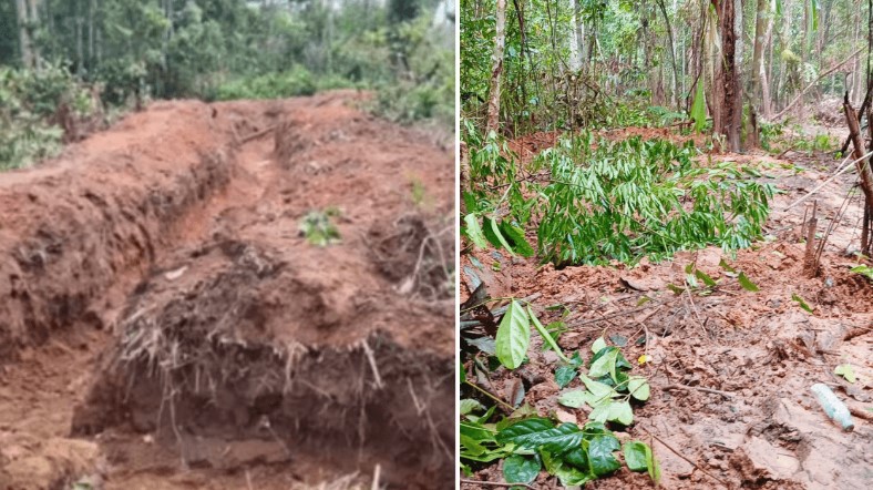 screenshot 2025 06 09 095456