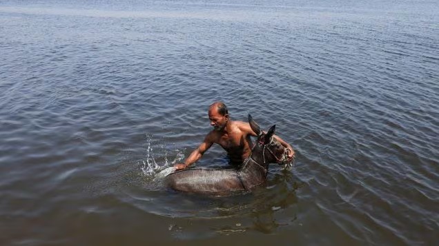 screenshot 2025 06 14 111104