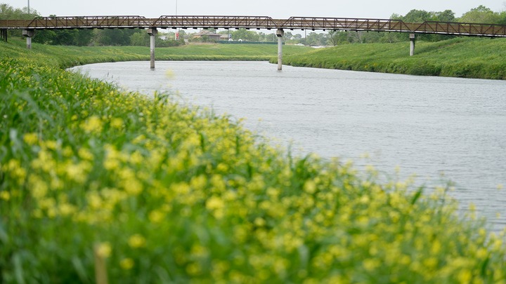 houston bayous bodies found land