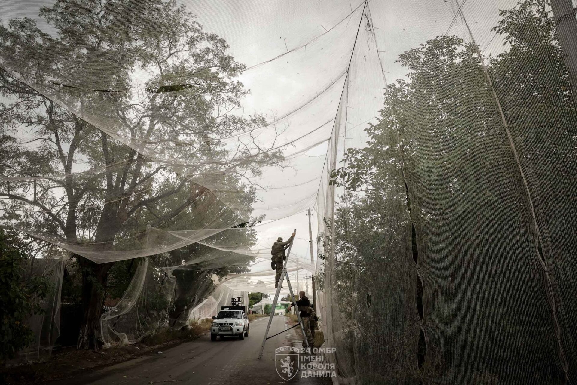 564502615836060188805063451253