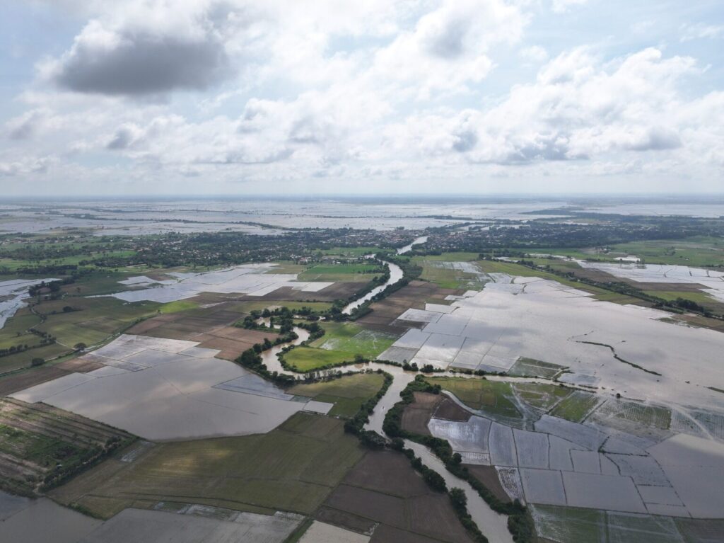 51406233610441558112287466111062905955174440n 1536x1151 1 1024x767