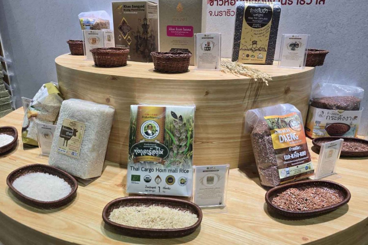 c131653192512290650011200