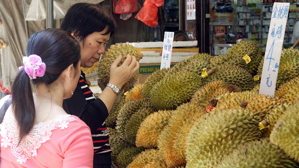 china durian