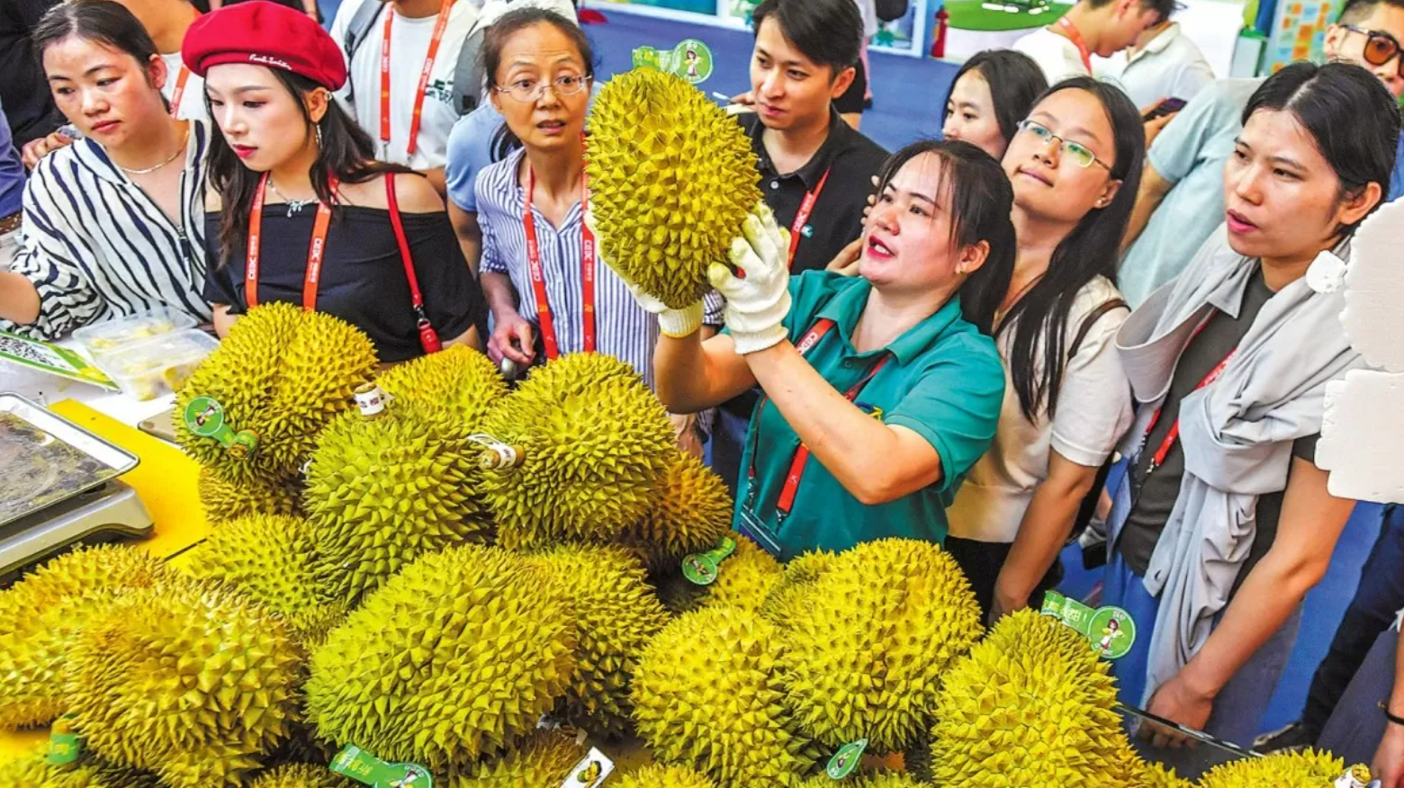 screenshot 2026 01 24 192847 screenshot 2026 01 24 192847