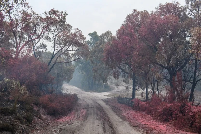 shutterstock editorial 16466844b