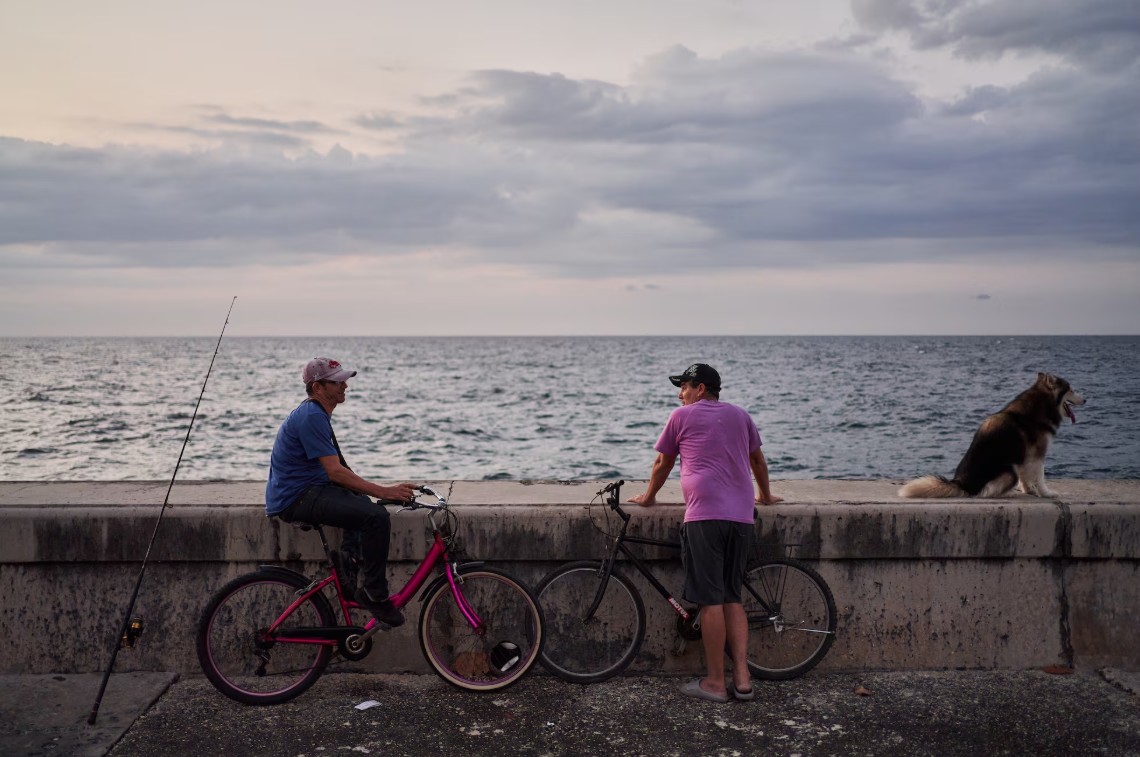 screenshot 2026 03 23 094317 screenshot 2026 03 23 094317