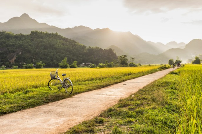 screenshot 2026 03 24 1601281