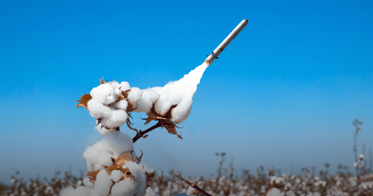 735721d89c75e1b6456cd5d5419eccd5