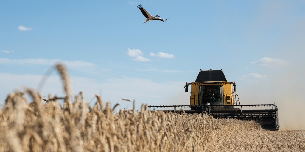 260428 ukraine wheat rs c40a30