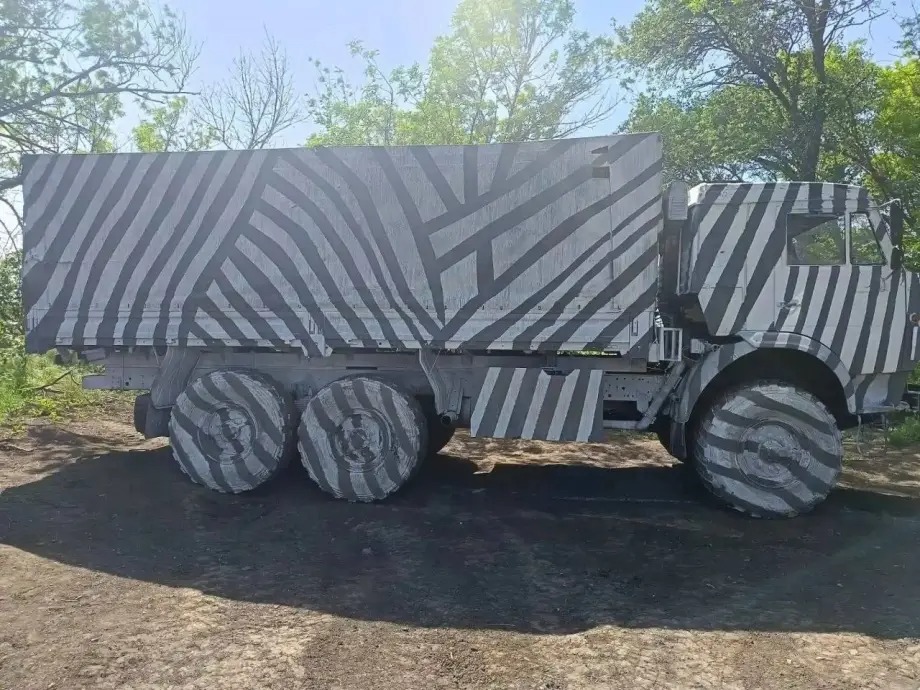 zebra6