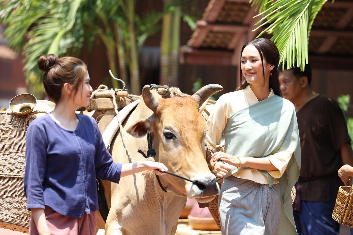 503539404184650693310739964975546035131216223n