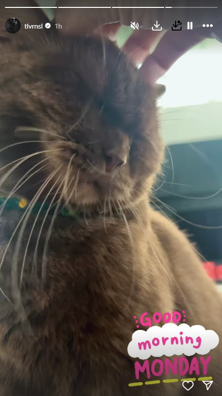 screenshot 2025 07 28 092657