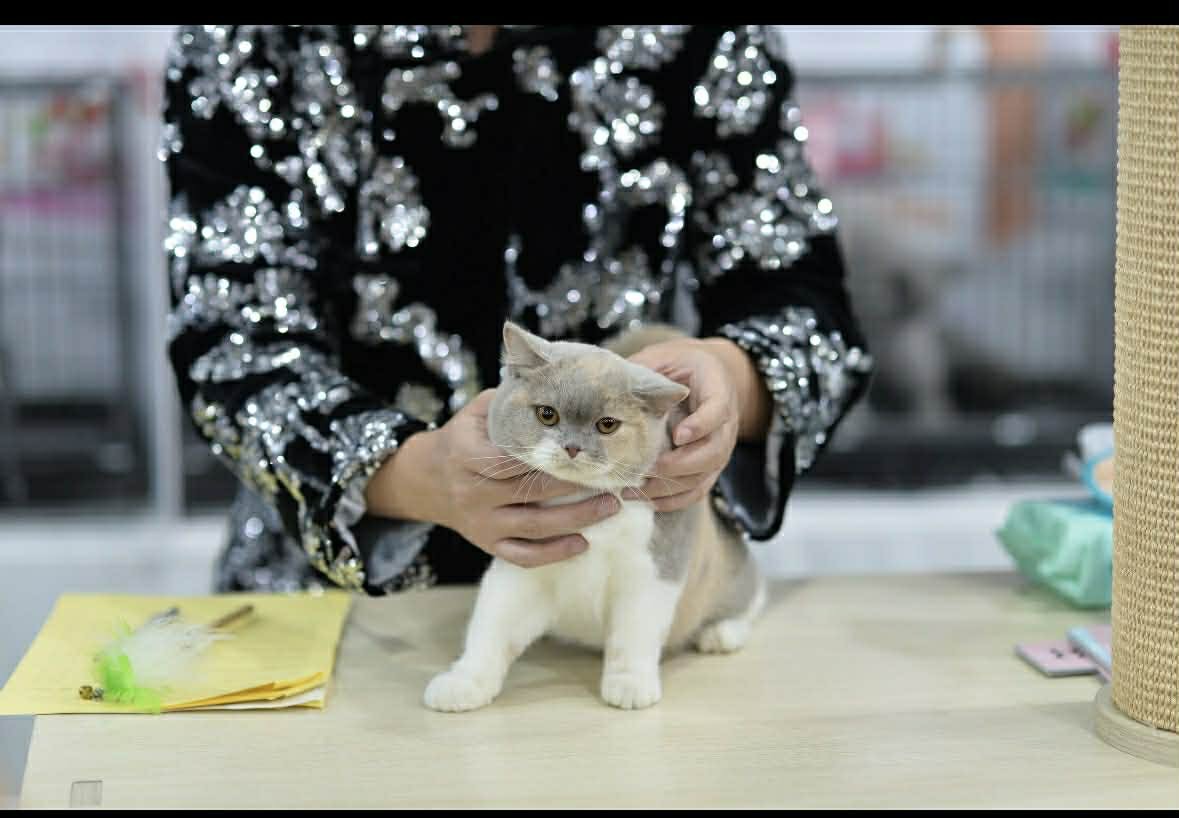 38cd1b63 acb2 406c ad5a 52f4b9b1af08