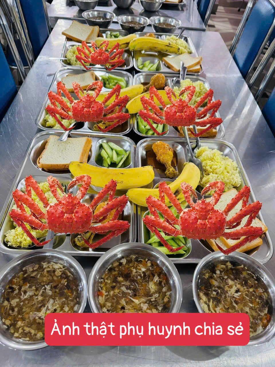 58534336038921546944165574400245657261584652n