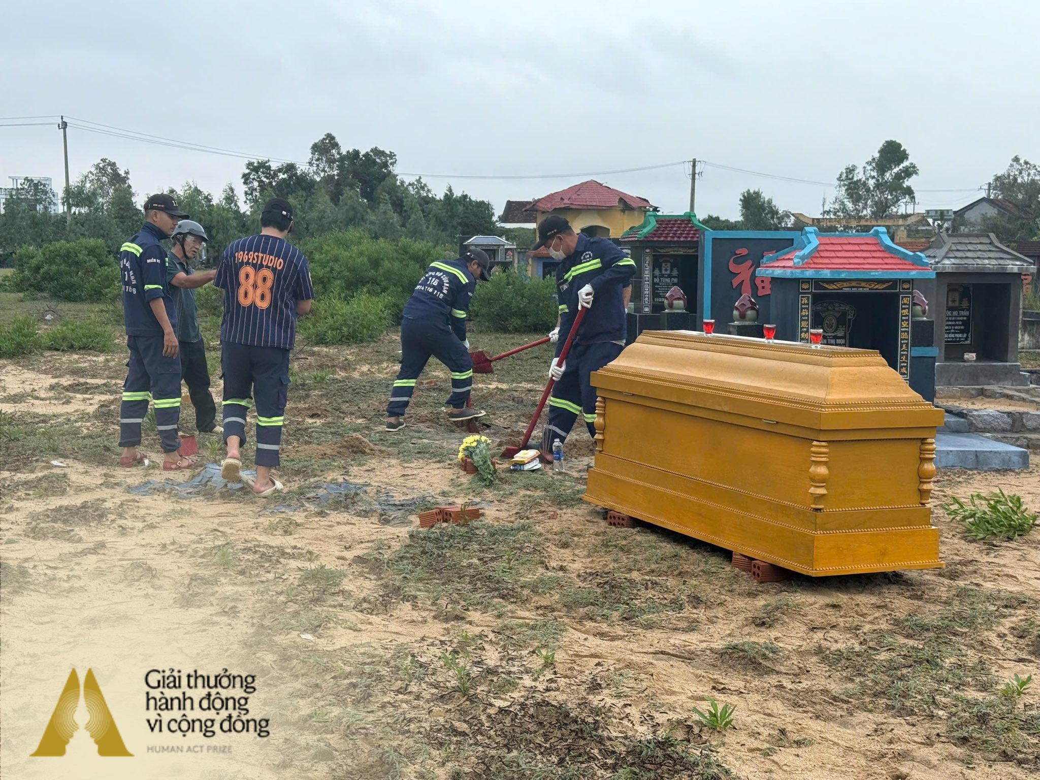 batch591716959253130337017172404870920567441375388n