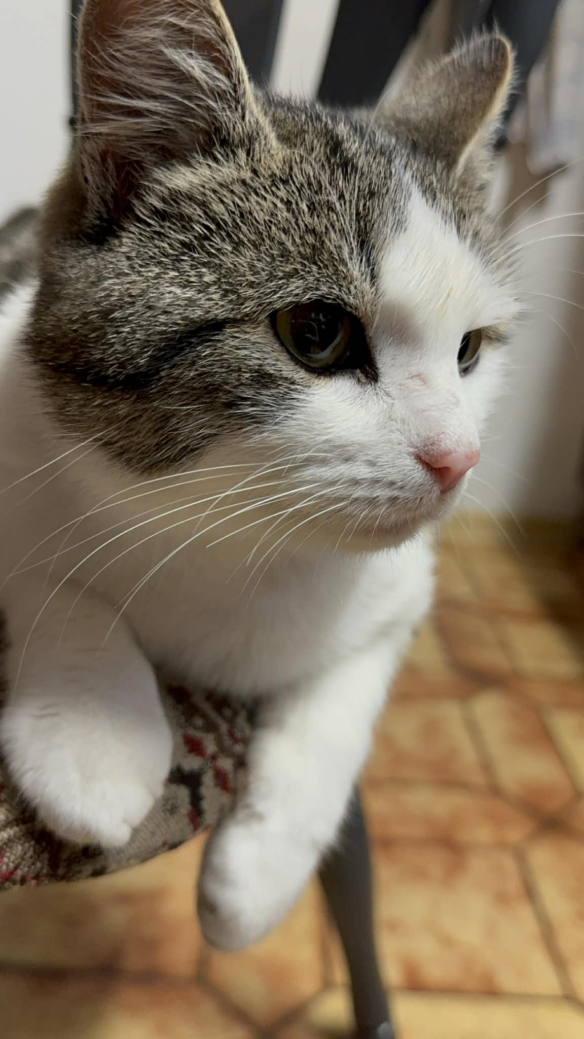 f411d449 4b10 44c7 96c2 7d441f08224f