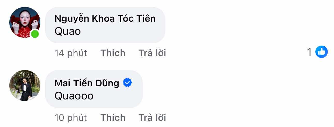 binh luan cua nghe si 1