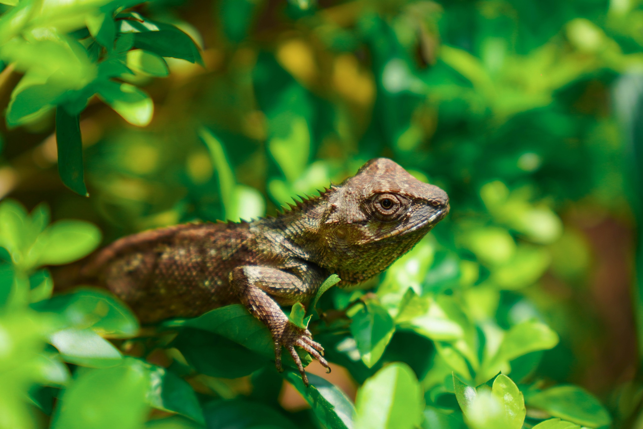 60899222813217438599809243444191067581071491n