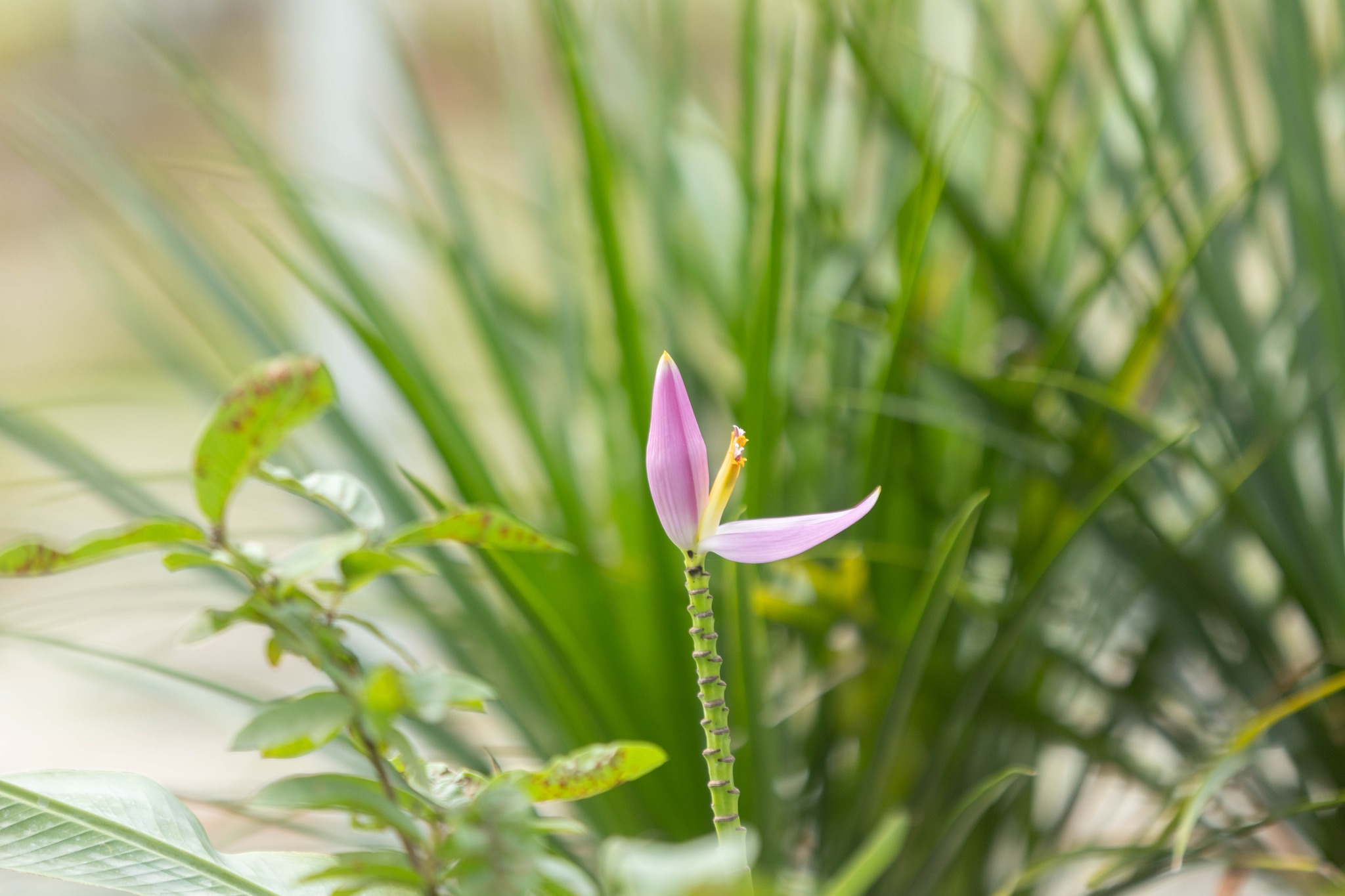 61129111113217440899809017391348540979902369n