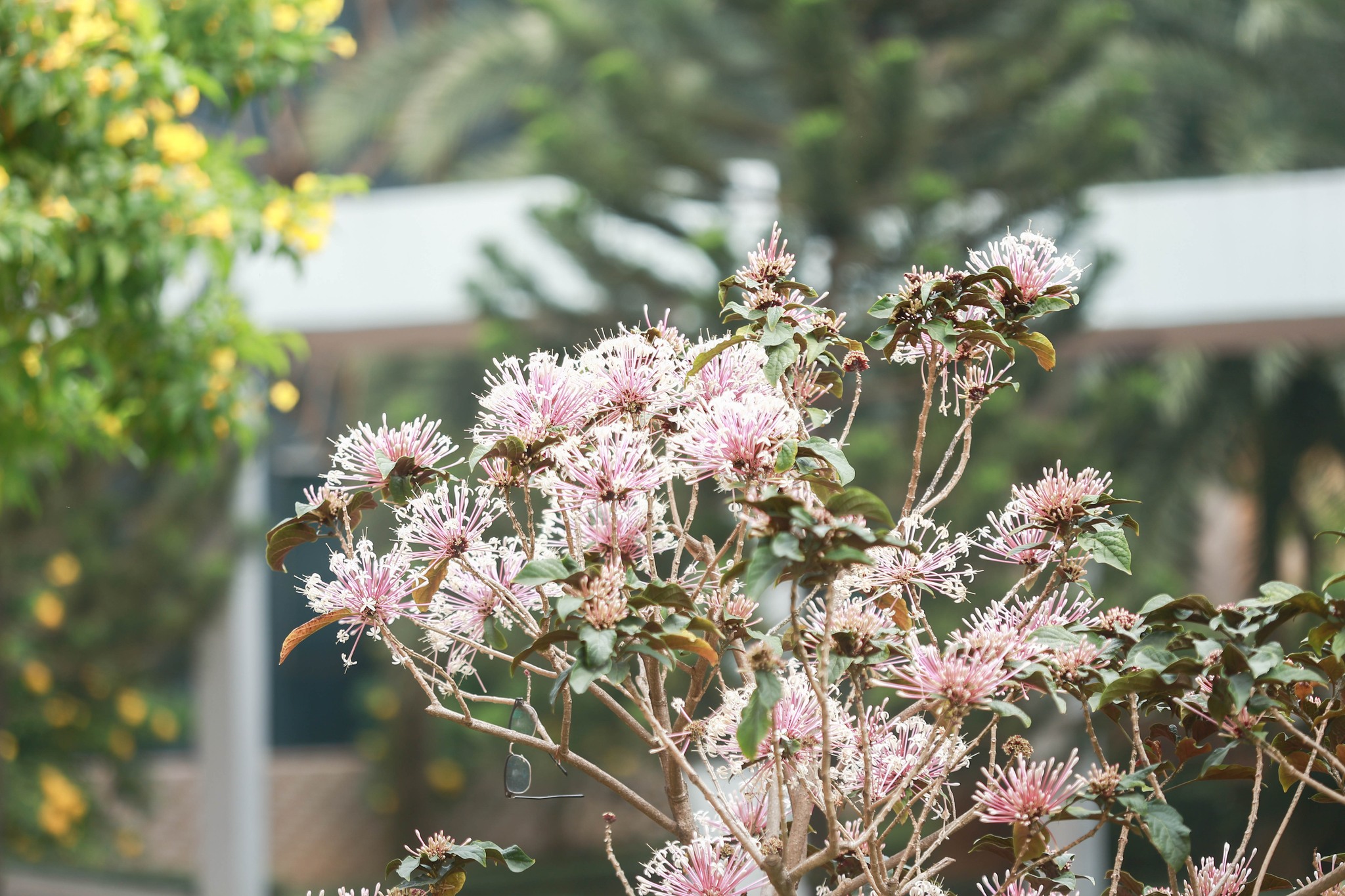 61231906013217435333142907409263498714251012n