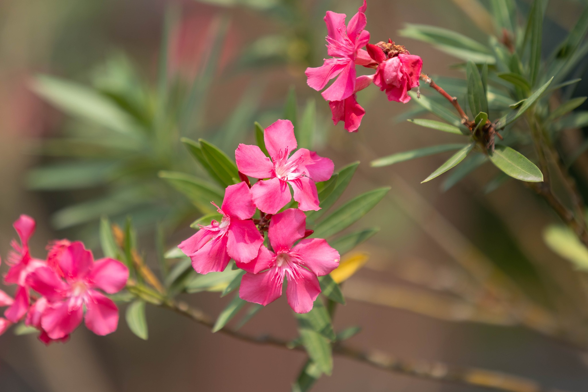 61248323613217443533142081462804590426926850n