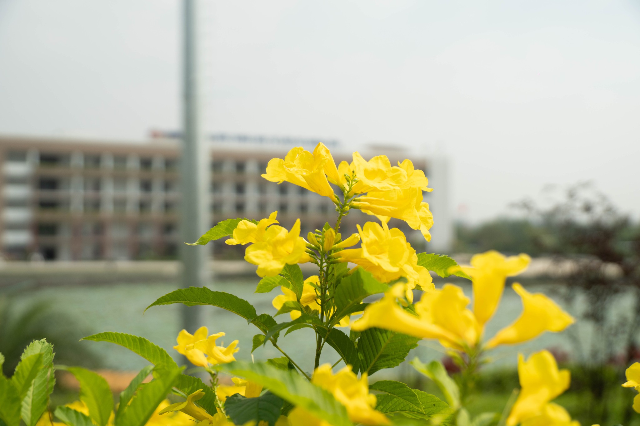 6124841591321744163314227856129272923282238n