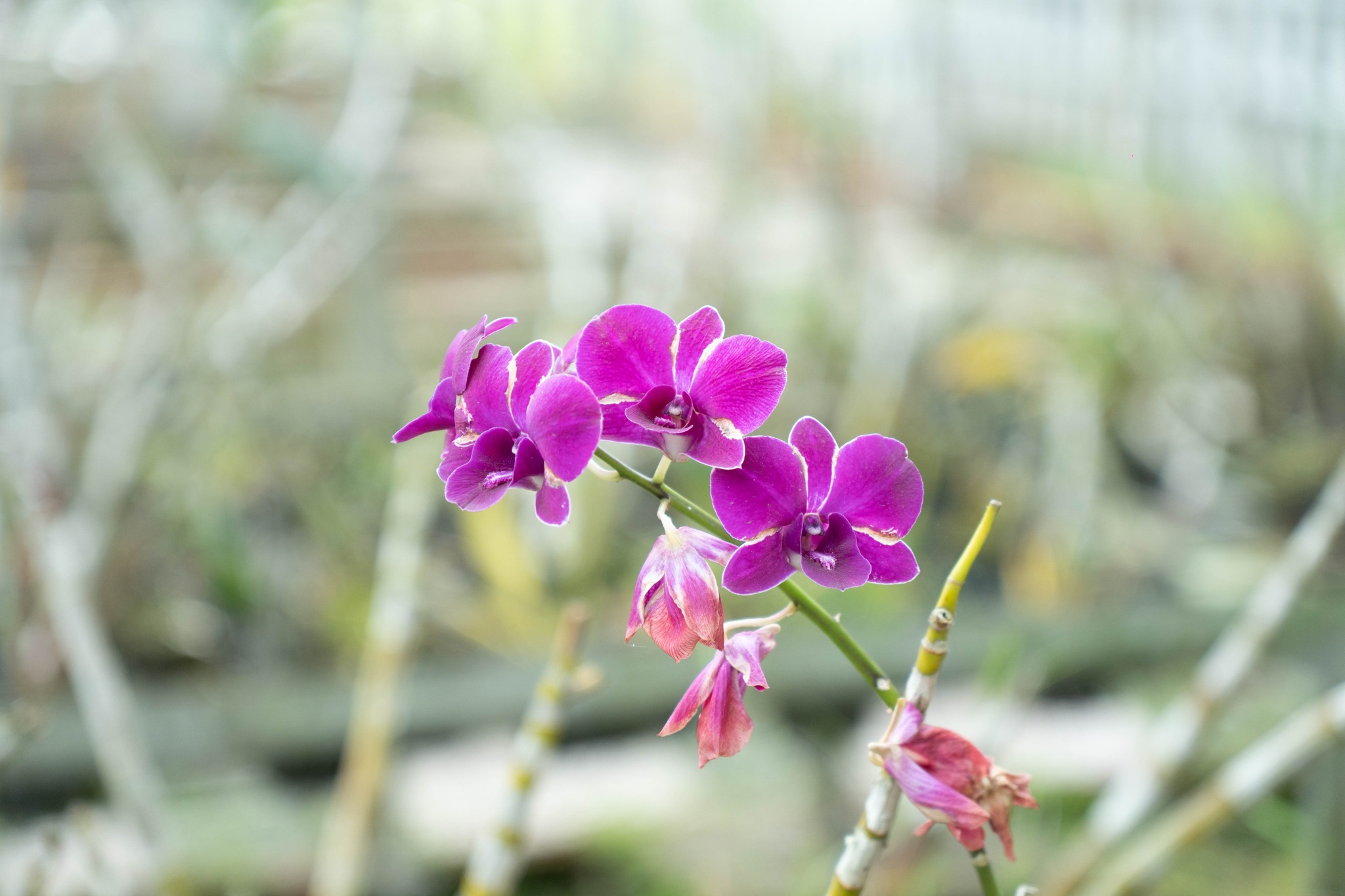 6126112251321744023314241499723025794010857n