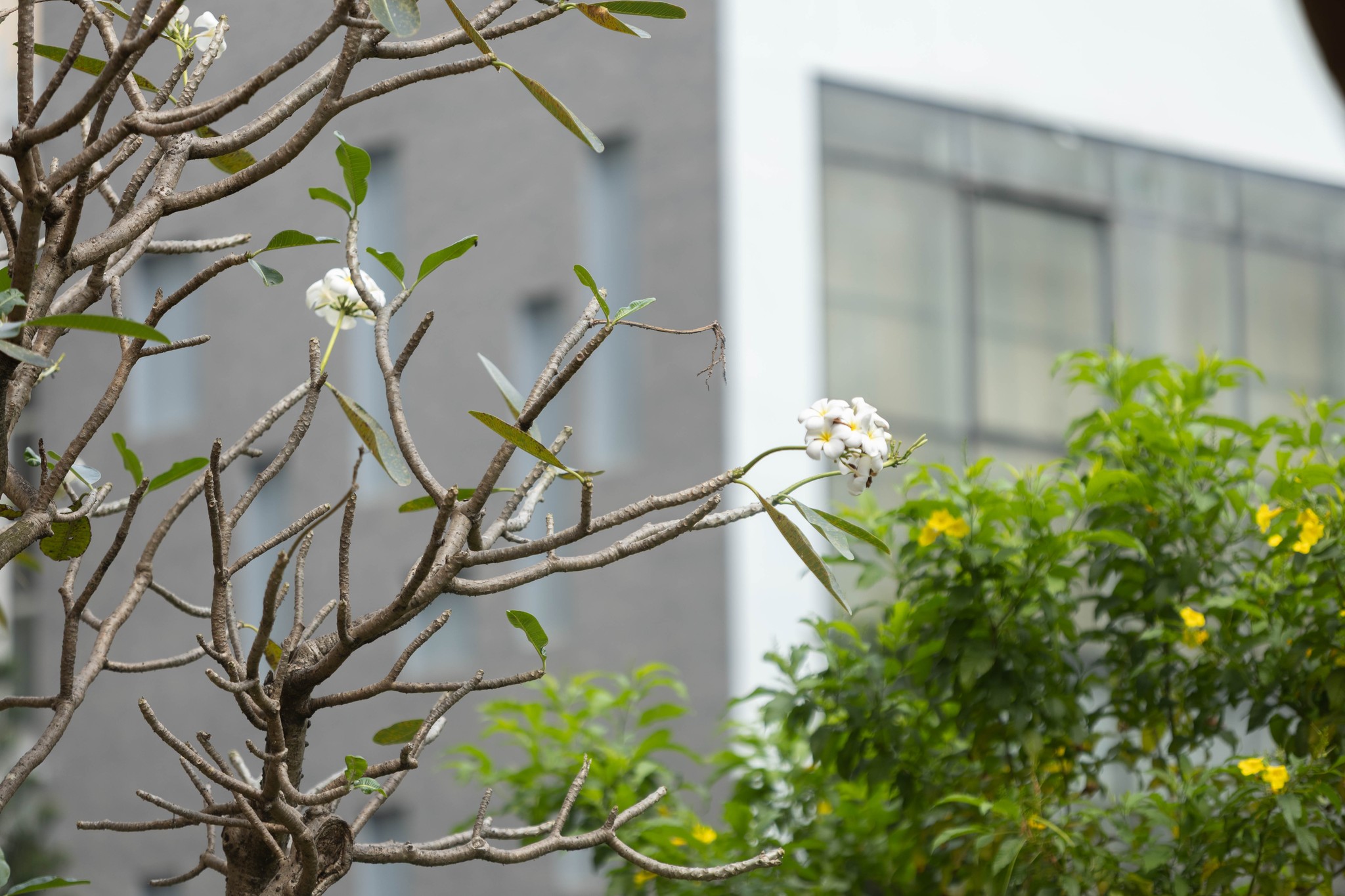 61264138313217438199809282532815762582064259n