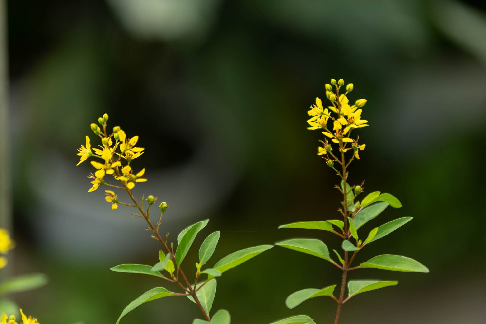 61273124513217442199808881204785618795367062n