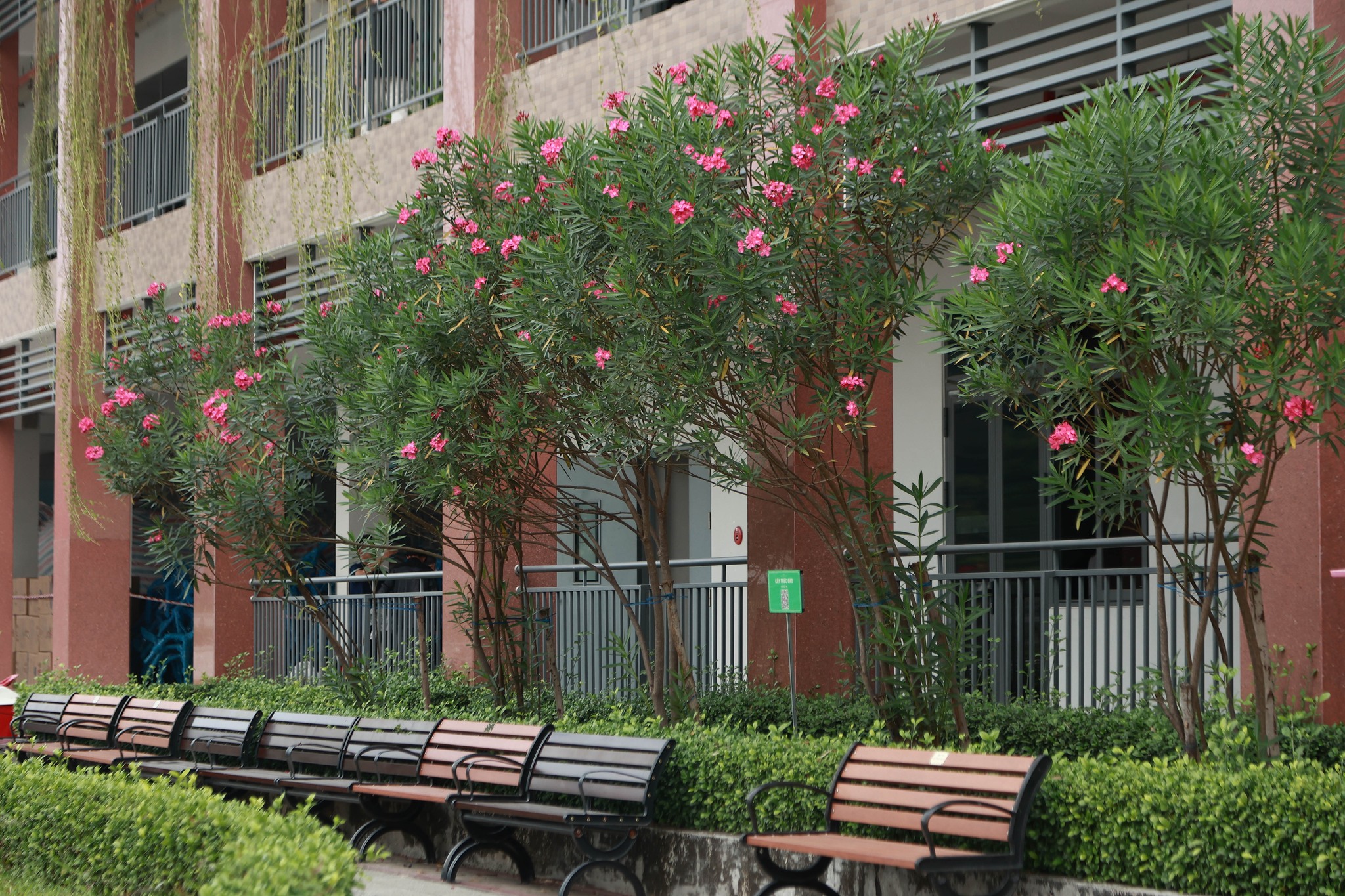 61293447013217429866476788473020864387312460n