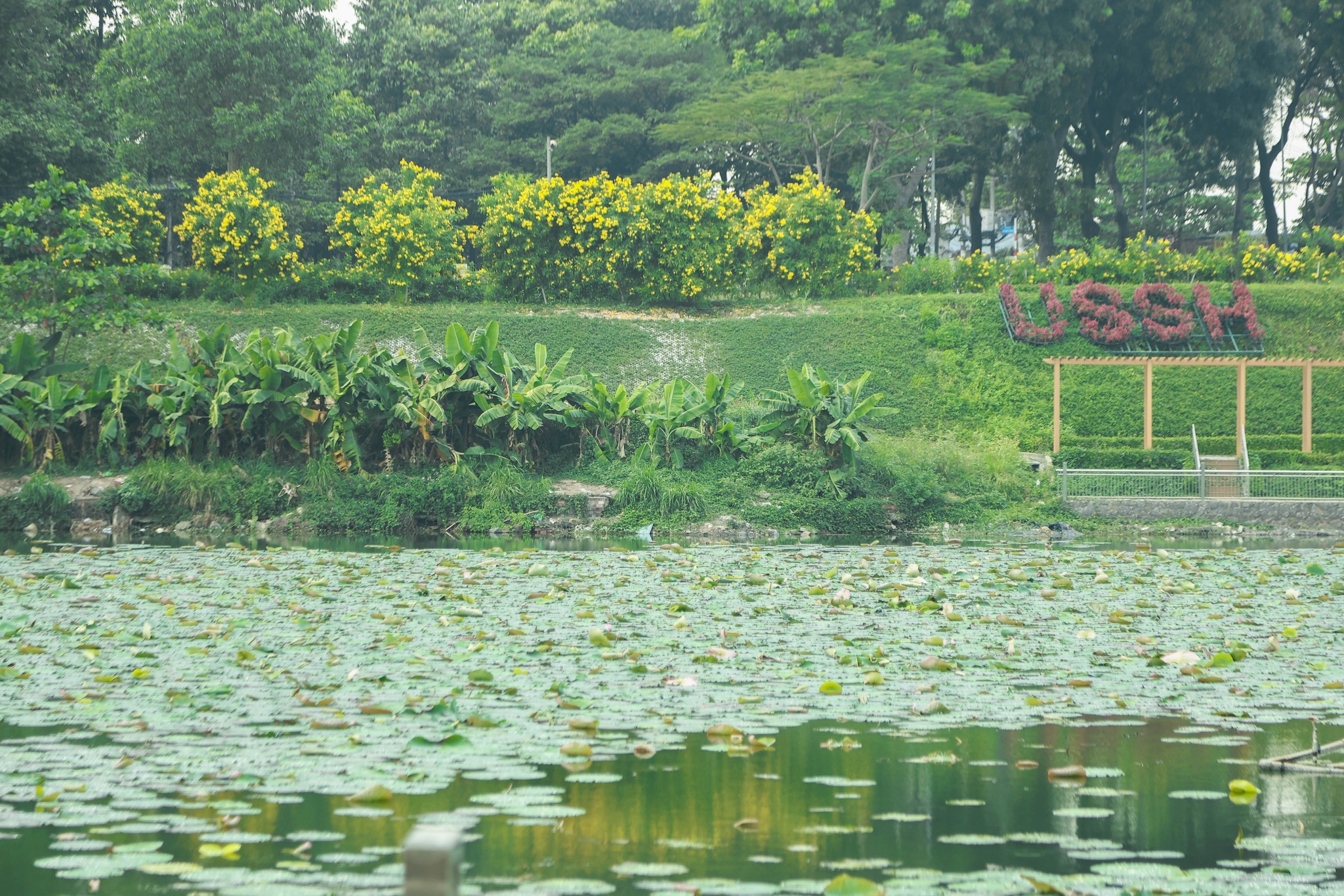 61302559813217430566476711643314944212484346n