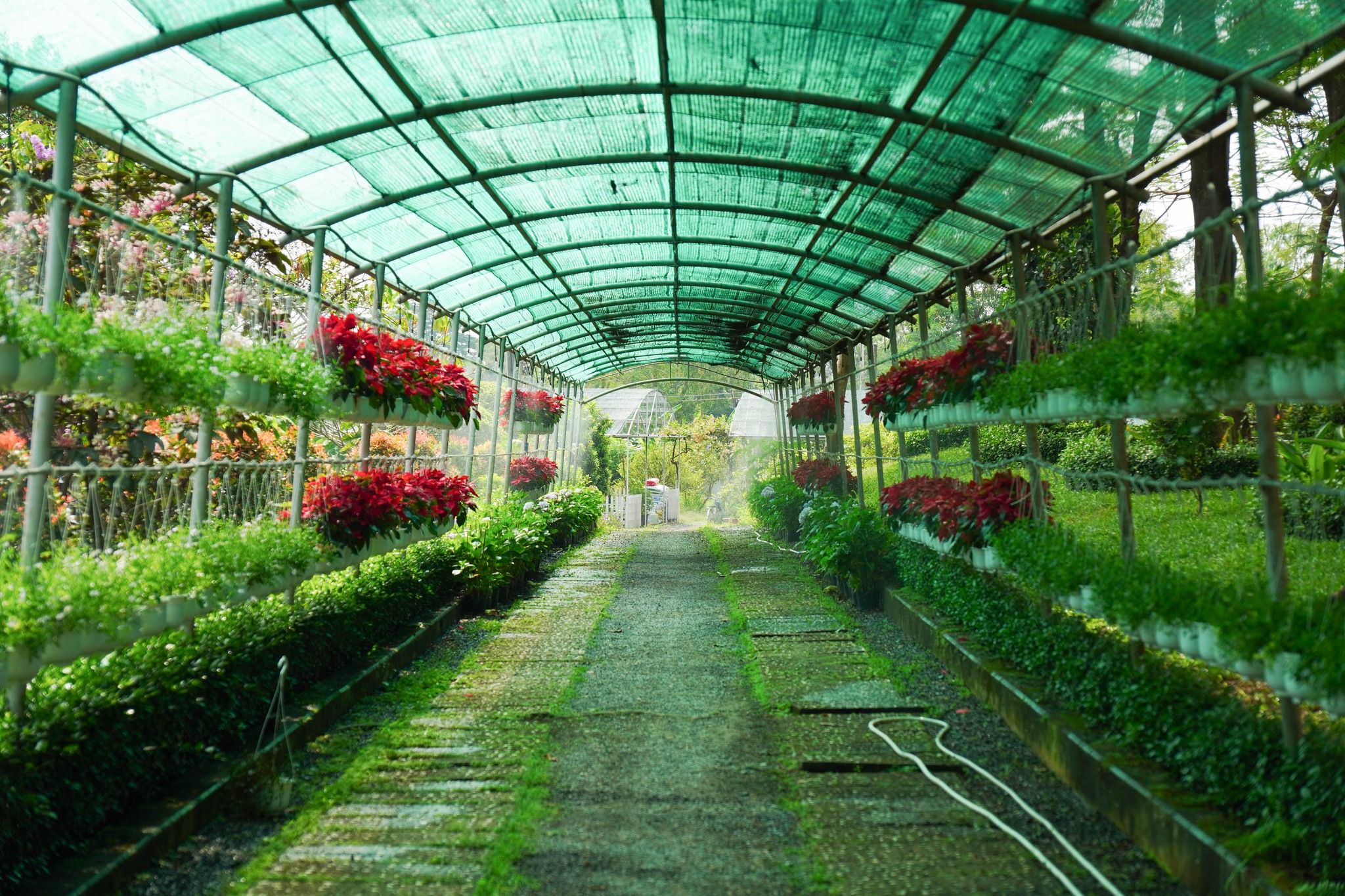 61304765713217430533143381468322026064373529n