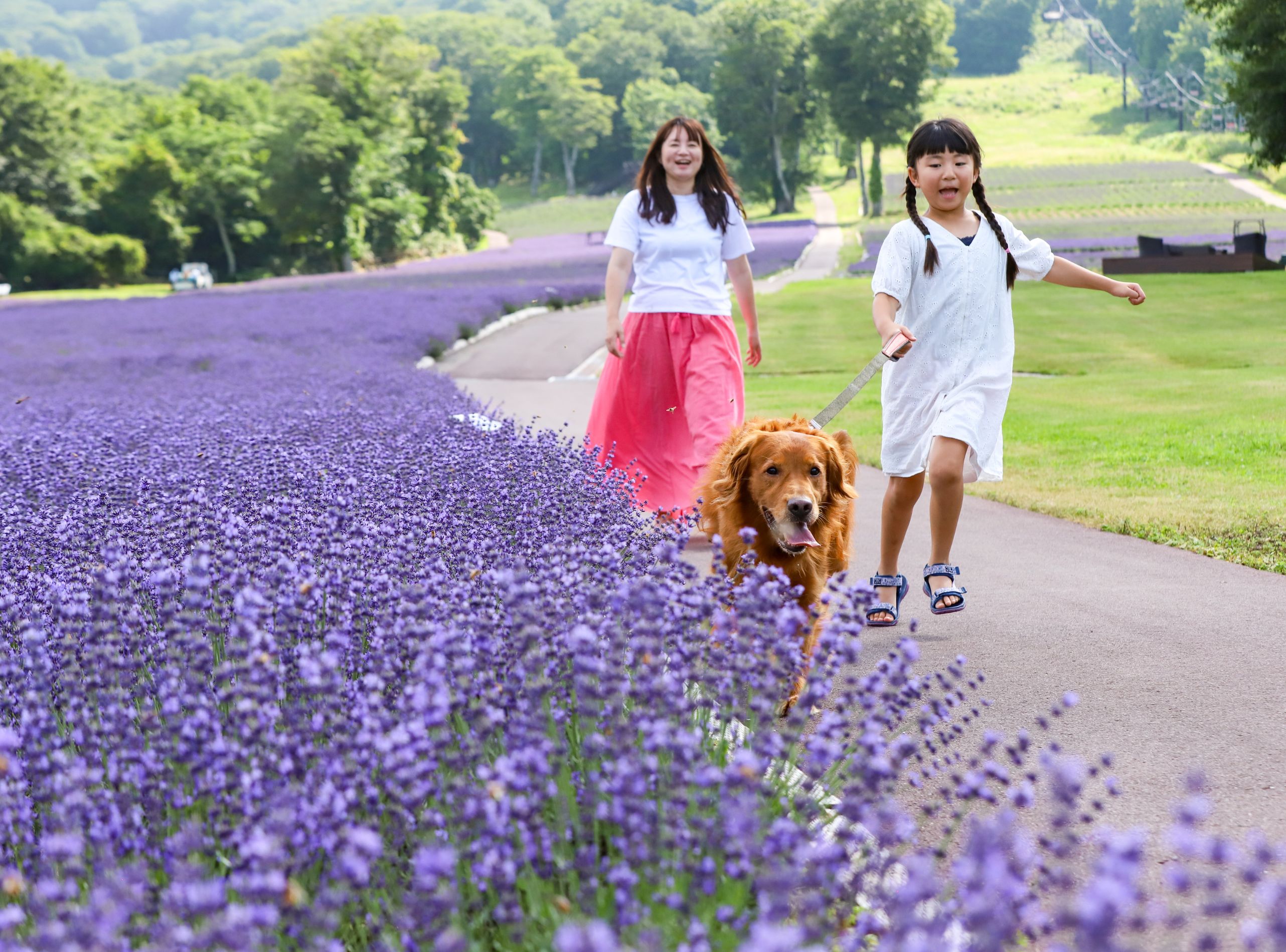 du khach tan huong khoang thoi gian vui ve ben gia dinh tai cong vien tambara5
